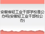 安徽省轻工业干部学校是公办吗(安徽轻工业干部校公办)