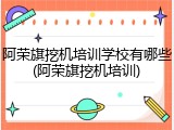 阿荣旗挖机培训学校有哪些(阿荣旗挖机培训)