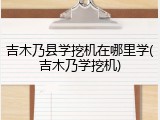 吉木乃县学挖机在哪里学(吉木乃学挖机)
