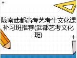 陇南武都高考艺考生文化课补习班推荐(武都艺考文化班)