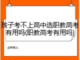 孩子考不上高中选职教高考有用吗(职教高考有用吗)