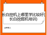 长白挖机上哪里学比较好(长白挖掘机培训)