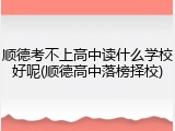 顺德考不上高中读什么学校好呢(顺德高中落榜择校)