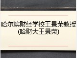 哈尔滨财经学校王景荣教授(哈财大王景荣)