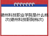 德州科技职业学院是什么档次(德州科技职院档次)