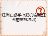 江洲在哪学挖掘机培训(江洲挖掘机培训)