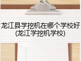 龙江县学挖机在哪个学校好(龙江学挖机学校)