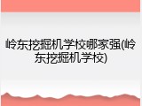 岭东挖掘机学校哪家强(岭东挖掘机学校)