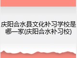 庆阳合水县文化补习学校是哪一家(庆阳合水补习校)