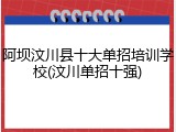 阿坝汶川县十大单招培训学校(汶川单招十强)