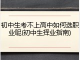初中生考不上高中如何选职业呢(初中生择业指南)