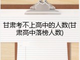 甘肃考不上高中的人数(甘肃高中落榜人数)