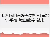 玉溪峨山有没有数控机床培训学校(峨山数控培训)