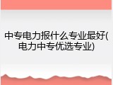 中专电力报什么专业最好(电力中专优选专业)