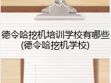 德令哈挖机培训学校有哪些(德令哈挖机学校)