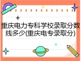 重庆电力专科学校录取分数线多少(重庆电专录取分)