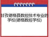 甘孜德格县数控技术专业的学校(德格数控学校)