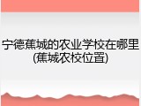 宁德蕉城的农业学校在哪里(蕉城农校位置)