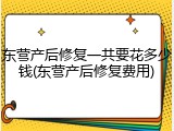 东营产后修复一共要花多少钱(东营产后修复费用)
