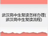 武汉高中生复读怎样办理(武汉高中生复读流程)