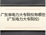 广东省电力大专院校有哪些(广东电力大专院校)