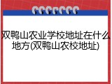 双鸭山农业学校地址在什么地方(双鸭山农校地址)