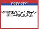 铜川哪里找产后恢复学校(铜川产后恢复培训)