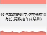 数控车床培训学校东莞有没有(东莞数控车床培训)