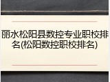 丽水松阳县数控专业职校排名(松阳数控职校排名)