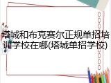 塔城和布克赛尔正规单招培训学校在哪(塔城单招学校)