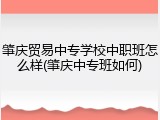 肇庆贸易中专学校中职班怎么样(肇庆中专班如何)