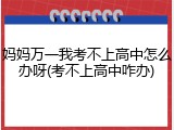 妈妈万一我考不上高中怎么办呀(考不上高中咋办)
