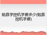 勉县学挖机学费多少(勉县挖机学费)