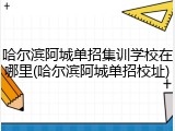 哈尔滨阿城单招集训学校在哪里(哈尔滨阿城单招校址)