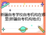 新疆自考学校自考机构在哪里(新疆自考机构地点)