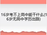 16岁考不上高中能干什么(16岁无高中学历出路)