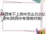 陕西考不上高中怎么办2020年(陕西中考落榜对策)