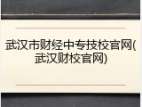 武汉市财经中专技校官网(武汉财校官网)