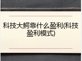 科技大鳄靠什么盈利(科技盈利模式)