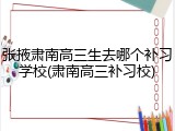 张掖肃南高三生去哪个补习学校(肃南高三补习校)