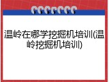 温岭在哪学挖掘机培训(温岭挖掘机培训)