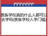 贵族学校真的什么人都可以去学吗(贵族学校入学门槛)