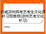 武威凉州高考艺考生文化课补习班推荐(凉州艺考文化补习)