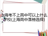上海考不上高中可以上什么学校(上海高中落榜选择)