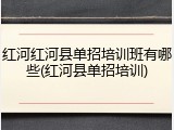 红河红河县单招培训班有哪些(红河县单招培训)