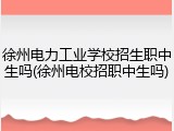 徐州电力工业学校招生职中生吗(徐州电校招职中生吗)