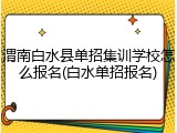 渭南白水县单招集训学校怎么报名(白水单招报名)