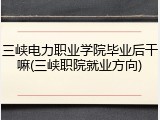 三峡电力职业学院毕业后干嘛(三峡职院就业方向)