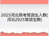 2025河北高考复读生人数(河北2025复读生数)