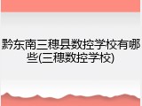 黔东南三穗县数控学校有哪些(三穗数控学校)